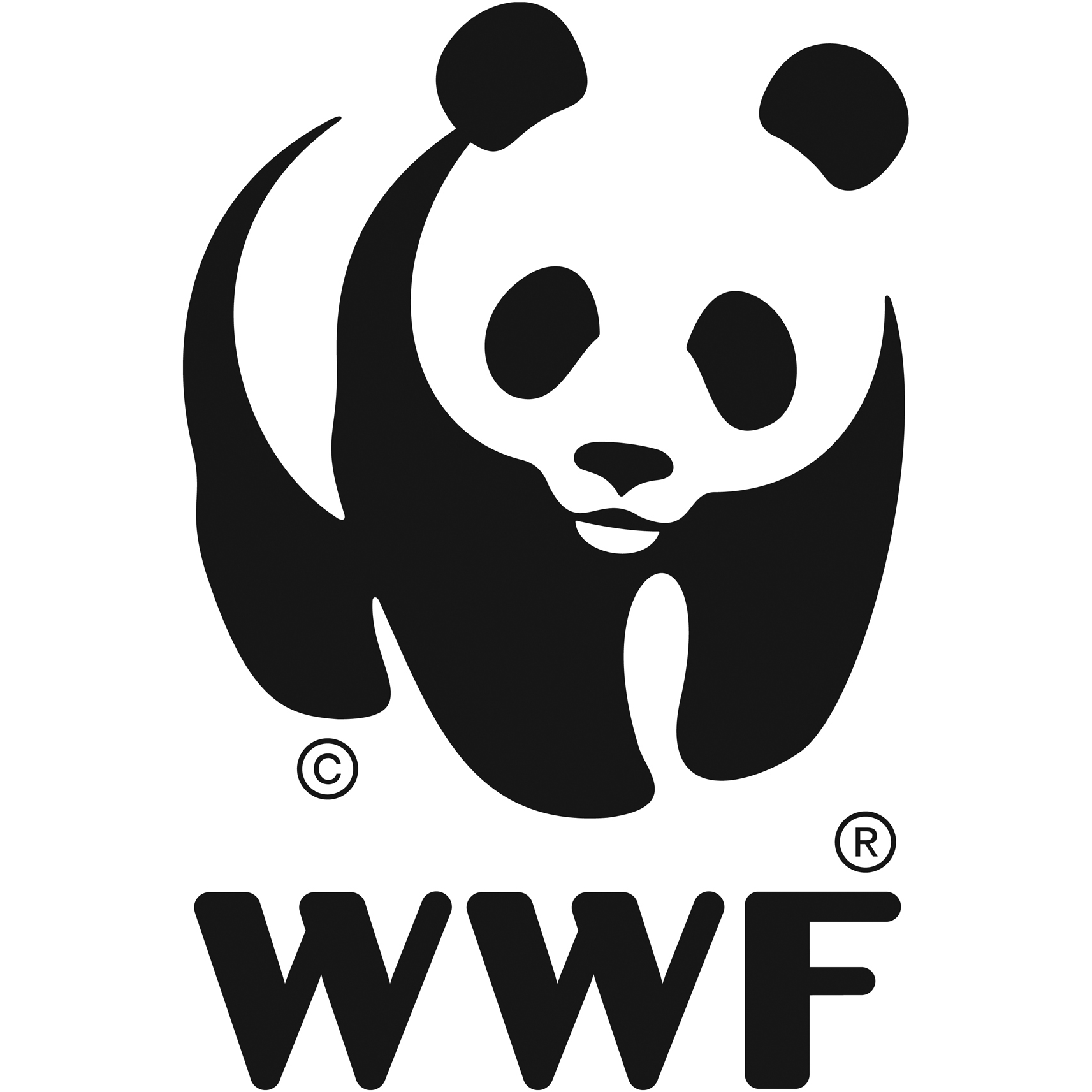 FAVPNG_world-wide-fund-for-nature-wwf-madagascar-logo-conservation-wwf-adria_H876S9cc